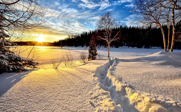 attachments-2023-11-aSIev7cD65546299d391d.jpg